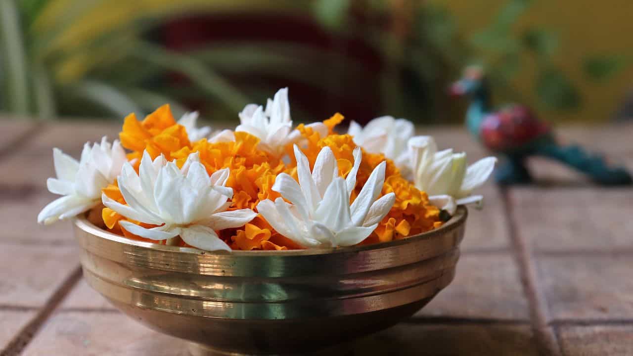 വർഷത്തിൽ രണ്ട് തവണ ഓണം ആഘോഷിക്കുന്ന ഒരു നാടുണ്ട് കേരളത്തിൽ!; അറിയാമോ മഹാബലിയുടെ ഈ വരവിനെ കുറിച്ച്? വർഷത്തിൽ രണ്ട് തവണ ഓണം ആഘോഷിക്കുന്ന ഒരു നാടുണ്ട് കേരളത്തിൽ!; അറിയാമോ മഹാബലിയുടെ ഈ വരവിനെ കുറിച്ച്?