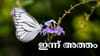 ഇന്ന് അത്തം...മാവേലിയെ വരവേല്‍ക്കാനൊരുങ്ങി കേരളക്കര...