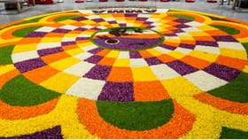 പൂവേ പൊലി പൂവേ പൊലി....; പ്രിയപ്പെട്ടവർക്ക് അത്തം ആശംസകൾ