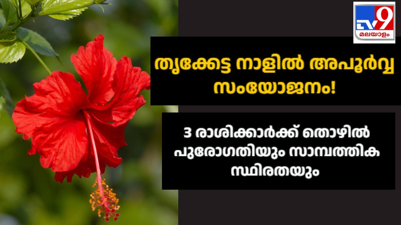 ഓഗസ്റ്റ് 21 വെള്ളിയാഴ്ച ഓണത്തിന്റെ ആറാം ദിവസമാണ്. ഓണത്തിന്റെ ആറാം ദിവസം തൃക്കേട്ട നാളാണ്. ഈ ദിവസം ശുഭകരമായ പല സംയോജനങ്ങളും നടക്കുന്നു എന്നാണ് ജ്യോതിഷത്തിൽ പരാമർശിക്കുന്നത്. ഗ്രഹങ്ങളുടെ സംക്രമണങ്ങളും സംയോജനങ്ങളും എല്ലാം വളരെ പ്രധാനപ്പെട്ടതായാണ് കണക്കാക്കപ്പെടുന്നത്. കാരണം അത് വിവിധ രാശികളുടെ ജീവിതത്തിൽ വലിയ സ്വാധീനം ചെലുത്തുന്നു.(IMAGE CREDIT SOURCE: GETTY IMAGES/TV9 NETWORK)