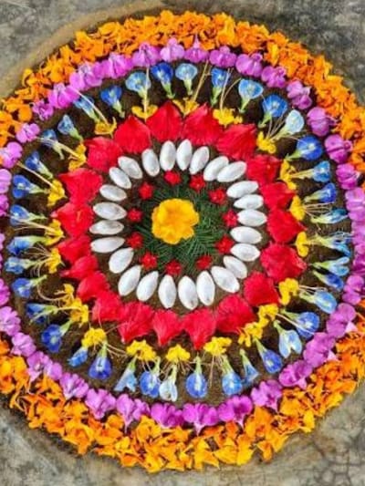 ചോതി നാളിലെ പൂക്കളത്തിൽ ഈ പൂവ് നിർബന്ധം