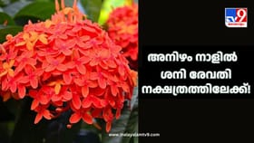 അനിഴം നാളിൽ ശനി രേവതി നക്ഷത്രത്തിലേക്ക്! 3 രാശിക്കാരുടെ ബാങ്ക്..