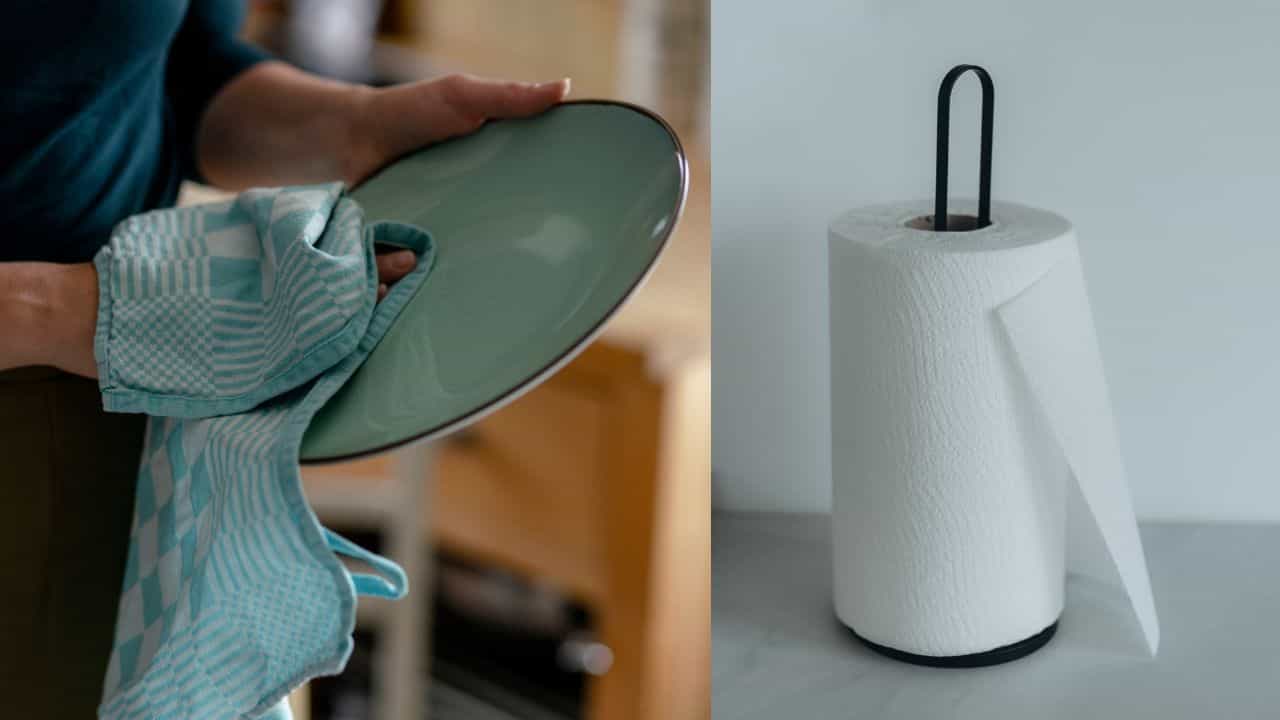 Paper Towel vs Cloth Towel: പേപ്പർ ടവലുകളോ തുണികളോ? ആരോഗ്യകരമായ ചോയ്‌സ് ഏതാണ്