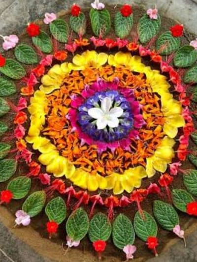 വിശാഖം നാളിലെ പൂക്കളത്തിൽ ഈ പൂവ്  പ്രധാനി!