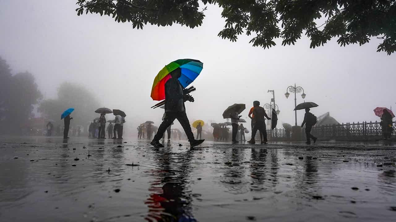 Kerala Rain Alert: ഇന്നും നാളെയും വിവിധ ജില്ലകളില് യെല്ലോ അലര്ട്ട്; കരുത്തോടെ മഴ തിരിച്ചെത്തുന്നു Kerala Rain Alert: ഇന്നും നാളെയും വിവിധ ജില്ലകളില് യെല്ലോ അലര്ട്ട്; കരുത്തോടെ മഴ തിരിച്ചെത്തുന്നു