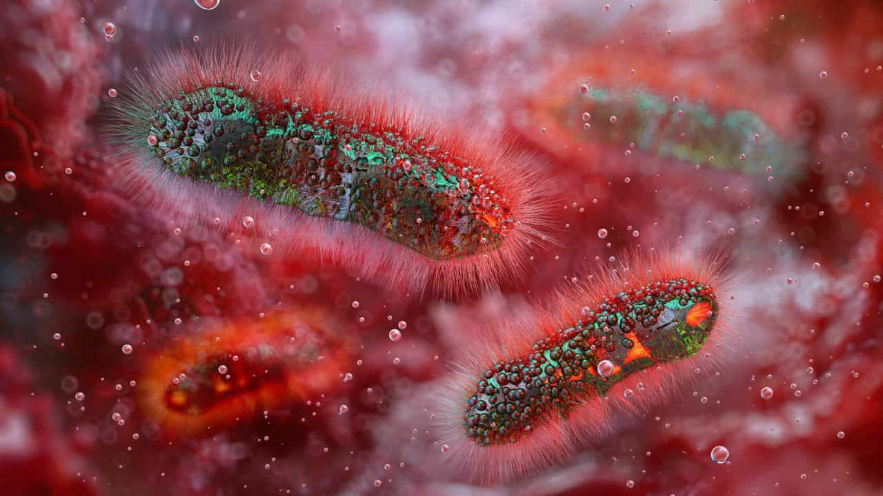 Shigella: വീണ്ടും ഷിഗെല്ല, തിരുവനന്തപുരത്ത് മൂന്നു വയസ്സുകാരി ചികിത്സയിൽ Shigella: വീണ്ടും ഷിഗെല്ല, തിരുവനന്തപുരത്ത് മൂന്നു വയസ്സുകാരി ചികിത്സയിൽ