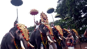 തൃക്കാക്കര ക്ഷേത്രത്തിൽ ഇന്ന് ആറാട്ട്, ഉത്സവ ചടങ്ങുകൾ ഇങ്ങനെ...