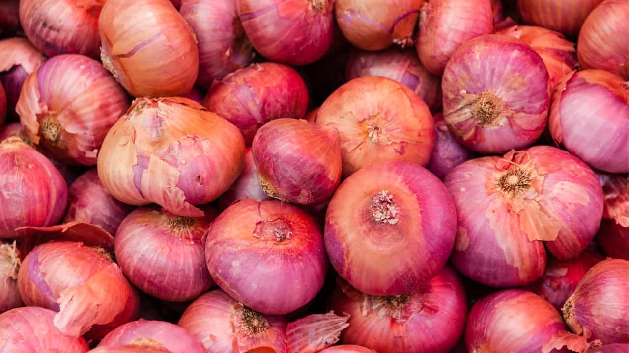 Onion Price Hike: 60 കടന്ന് സവാള വില; ഉള്ളിയുമായി കാന്ദ എക്‌സ്പ്രസ്
