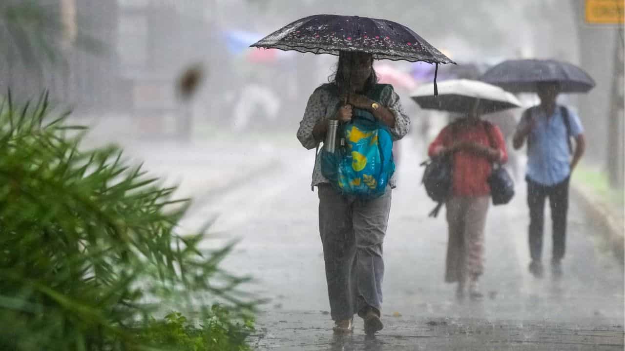 Kerala Weather Update: ഡോൾഫിൻ എത്തി, തീവ്രമഴ വലയ്ക്കും; എട്ട് ജില്ലക്കാർ ശ്രദ്ധിച്ചോണേ.... ഇന്നത്തെ കാലാവസ്ഥ Kerala Weather Update: ഡോൾഫിൻ എത്തി, തീവ്രമഴ വലയ്ക്കും; എട്ട് ജില്ലക്കാർ ശ്രദ്ധിച്ചോണേ.... ഇന്നത്തെ കാലാവസ്ഥ