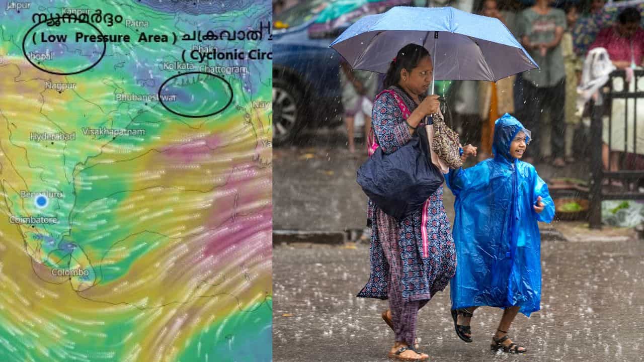 Kerala Weather Update: മഴ വീണ്ടും കനക്കും, കള്ളക്കടലിനും സാധ്യത; ശ്രദ്ധിക്കേണ്ടത് 2 ജില്ലക്കാർ; ഇന്നത്തെ കാലാവസ്ഥ Kerala Weather Update: മഴ വീണ്ടും കനക്കും, കള്ളക്കടലിനും സാധ്യത; ശ്രദ്ധിക്കേണ്ടത് 2 ജില്ലക്കാർ; ഇന്നത്തെ കാലാവസ്ഥ