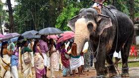 സംസ്ഥാനത്ത് പരക്കെ മഴ, ഈ ജില്ലക്കാർ സൂക്ഷിക്കുക; മുന്നറിയിപ്പ്