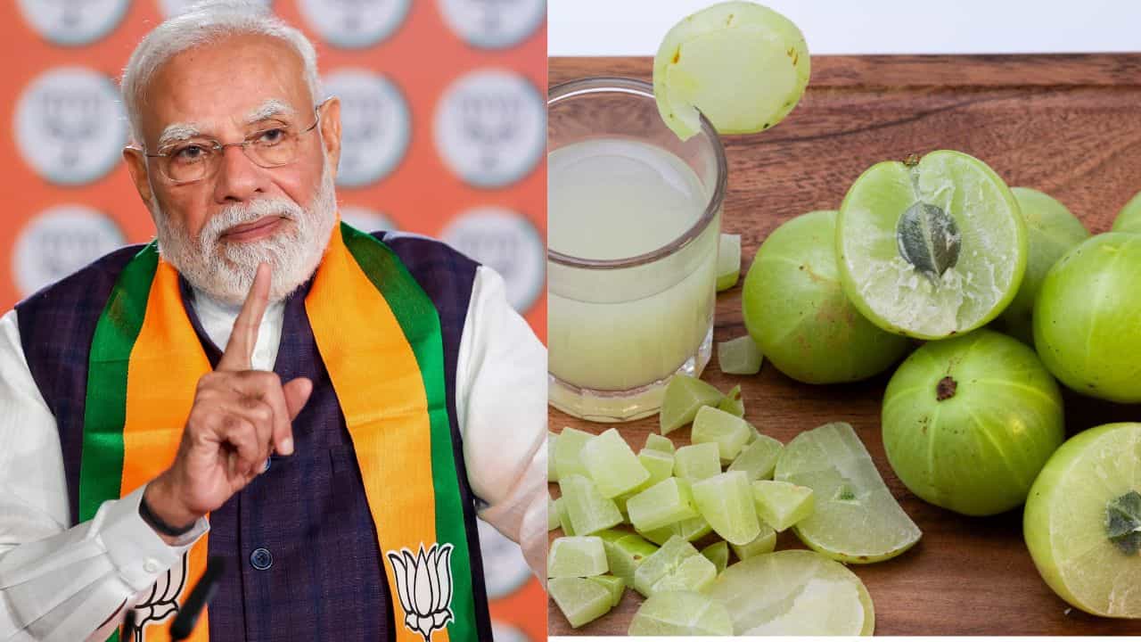 Amla Benefits: പ്രധാനമന്ത്രി പറഞ്ഞ സൂപ്പർ ഫുഡ്; ദിവസവും ഒരു നെല്ലിക്ക കഴിച്ചാൽ Amla Benefits: പ്രധാനമന്ത്രി പറഞ്ഞ സൂപ്പർ ഫുഡ്; ദിവസവും ഒരു നെല്ലിക്ക കഴിച്ചാൽ