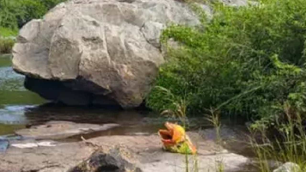 അട്ടപ്പാടി ഭവാനിപ്പുഴയിലെ മൃതദേഹങ്ങൾ: തലയറുത്ത് കൊന്നത് അച്ഛൻ; പ്രതിയെക്കുറിച്ച് സൂചന കിട്ടി അട്ടപ്പാടി ഭവാനിപ്പുഴയിലെ മൃതദേഹങ്ങൾ: തലയറുത്ത് കൊന്നത് അച്ഛൻ; പ്രതിയെക്കുറിച്ച് സൂചന കിട്ടി