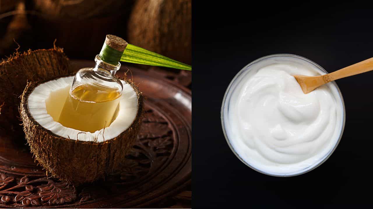 Beauty Tips: മുഖം മിനുക്കാൻ വെളിച്ചെണ്ണയും തൈരും എങ്ങനെ ഉപയോഗിക്കാം?: നാടൻ ബ്യൂട്ടി ടിപ്സ്
