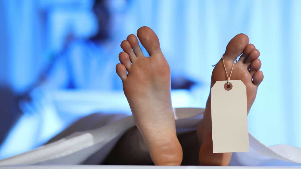 Attappadi Murder Case : അട്ടപ്പാടിയിൽ ചാക്കിൽ കെട്ടിയ മൃതദേഹങ്ങൾ കണ്ടെത്തിയ സംഭവം, പോലീസിന് നിർണായക വിവരങ്ങൾ Attappadi Murder Case : അട്ടപ്പാടിയിൽ ചാക്കിൽ കെട്ടിയ മൃതദേഹങ്ങൾ കണ്ടെത്തിയ സംഭവം, പോലീസിന് നിർണായക വിവരങ്ങൾ