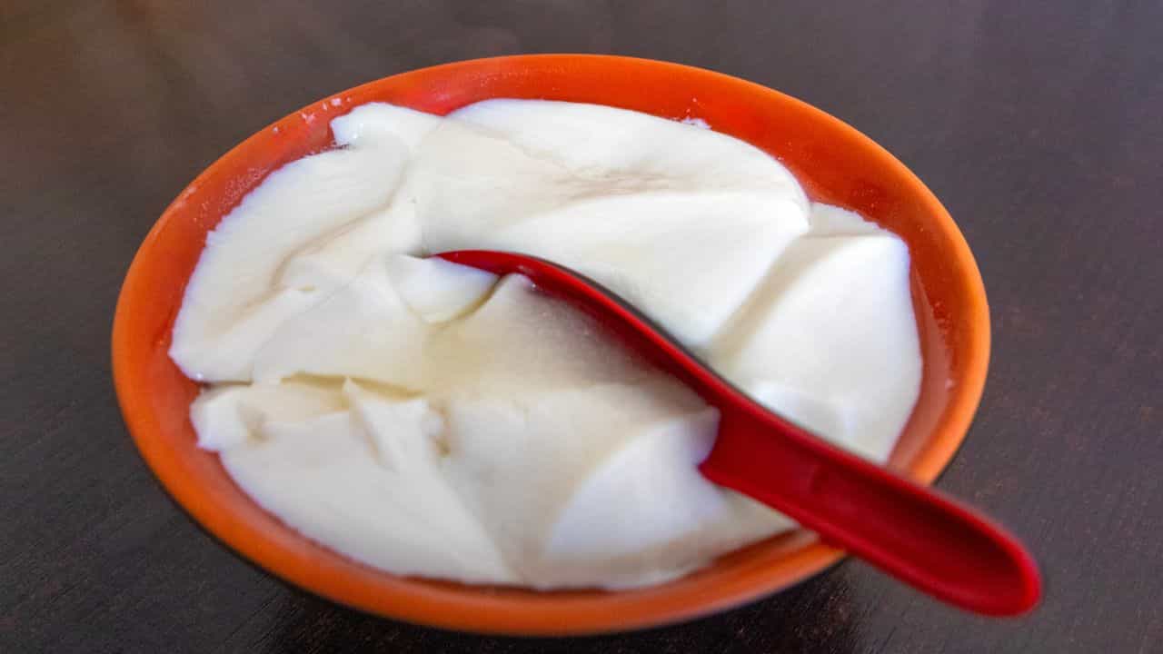 Curd Making Tips: തൈര് ഇനി വെള്ളമാകില്ല! സൂപ്പർ കട്ടത്തൈര് വീട്ടിൽ ഉണ്ടാക്കാം; ഇങ്ങനെ ചെയ്യൂ Curd Making Tips: തൈര് ഇനി വെള്ളമാകില്ല! സൂപ്പർ കട്ടത്തൈര് വീട്ടിൽ ഉണ്ടാക്കാം; ഇങ്ങനെ ചെയ്യൂ