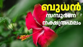 Horoscope Today: ഇന്നത്തെ സമ്പൂർണ നക്ഷത്ര ഫലം