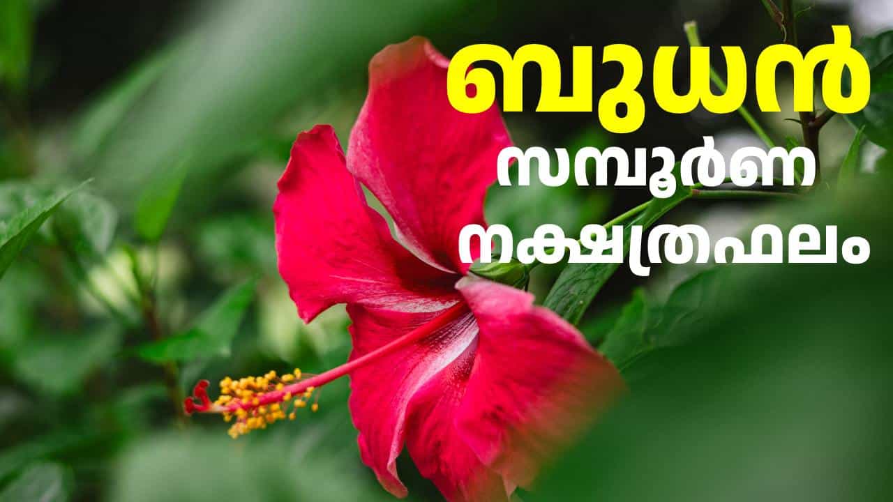 Horoscope Today: ധൃതിപിടിച്ച് സാമ്പത്തിക തീരുമാനങ്ങൾ എടുക്കരുത്; ഇന്നത്തെ സമ്പൂർണ നക്ഷത്ര ഫലം Horoscope Today: ധൃതിപിടിച്ച് സാമ്പത്തിക തീരുമാനങ്ങൾ എടുക്കരുത്; ഇന്നത്തെ സമ്പൂർണ നക്ഷത്ര ഫലം