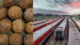 Train Travel Guide: ടിക്കറ്റ് ഉണ്ടായാലും പണി കിട്ടും!; ട്രെയിനിൽ ഉണങ്ങിയ തേങ്ങ കൊണ്ടുപോയാൽ പിഴ, കാരണം...
