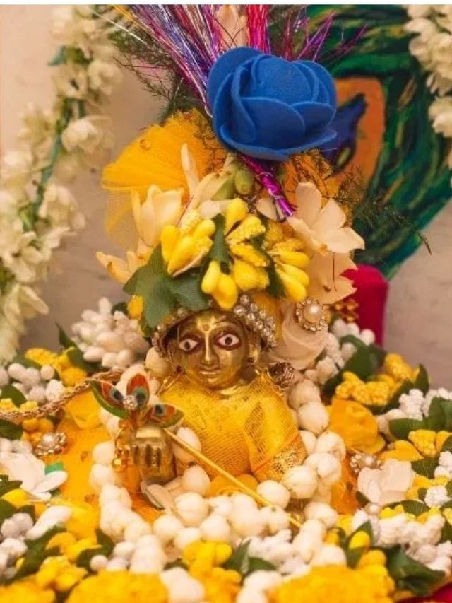 ഐശ്വര്യം ഇരട്ടിക്കും! ജന്മാഷ്ടമിക്ക് മുൻപ് ഈ 5 സാധനങ്ങൾ വാങ്ങൂ