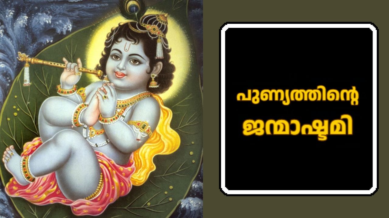കൃഷ്ണന്റെ ജന്മദിനമായ ജന്മാഷ്ടമി ആഘോഷിക്കുകയാണ് വിശ്വാസികൾ. തിന്മയുടെ മേൽ നന്മ പുനസ്ഥാപിക്കുന്നതിന് വേണ്ടി ജന്മംകൊണ്ട വിഷ്ണു ഭഗവാന്റെ അവതാരമാണ് ഭഗവാൻ ശ്രീകൃഷ്ണൻ. ഈ വർഷത്തെ ജന്മാഷ്ടമി സെപ്റ്റംബർ 4 വെള്ളിയാഴ്ചയാണ്. ഇന്നേദിവസം വ്രതം അനുഷ്ഠിക്കുന്നതും പ്രത്യേക അനുഷ്ഠാനങ്ങൾ നടത്തുന്നതും ഭഗവാൻ കൃഷ്ണന്റെ അനുഗ്രഹം എപ്പോഴും കുടുംബത്തിലും ജീവിതത്തിലും ഉണ്ടാകുവാൻ സഹായിക്കും.(IMAGE CREDIT SOURCE: GETTY IMAGES)