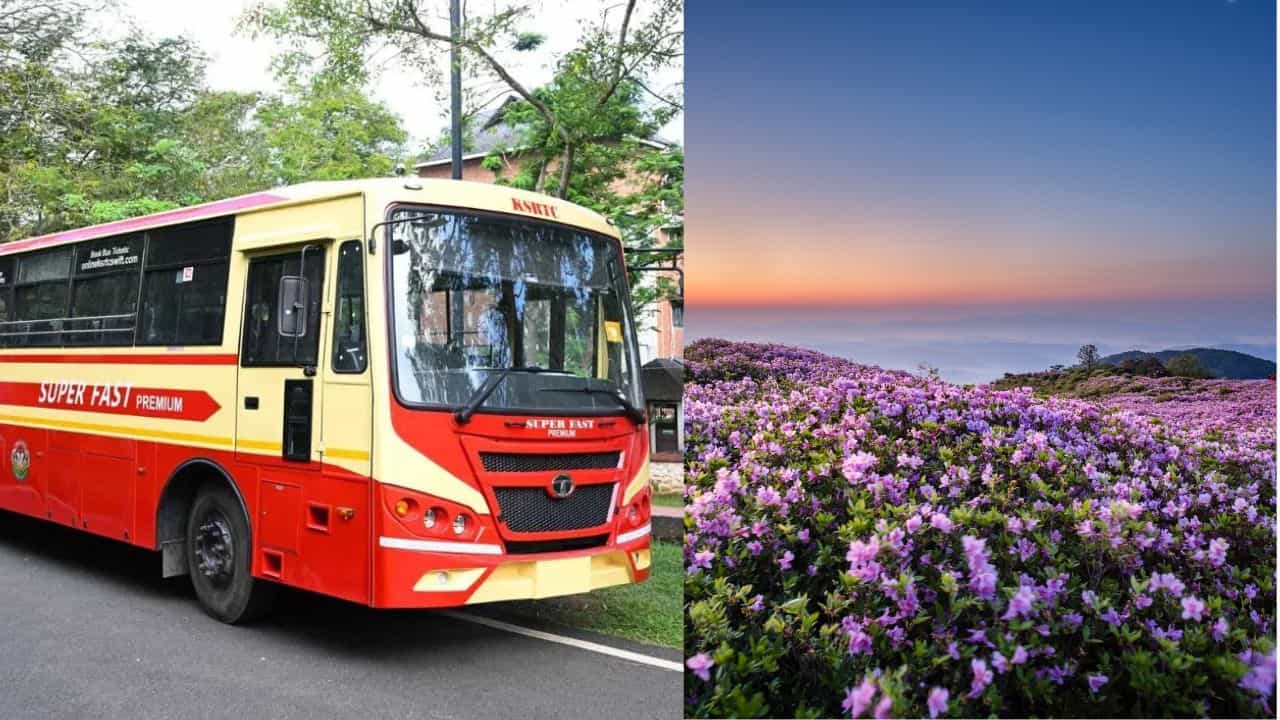 KSRTC Munnar Travel: രാവിലെ അഞ്ച് മുതൽ സർവീസ്; നീലക്കുറിഞ്ഞി കാണാൻ കുറഞ്ഞ ചെലവിൽ കെഎസ്ആർടിസി KSRTC Munnar Travel: രാവിലെ അഞ്ച് മുതൽ സർവീസ്; നീലക്കുറിഞ്ഞി കാണാൻ കുറഞ്ഞ ചെലവിൽ കെഎസ്ആർടിസി