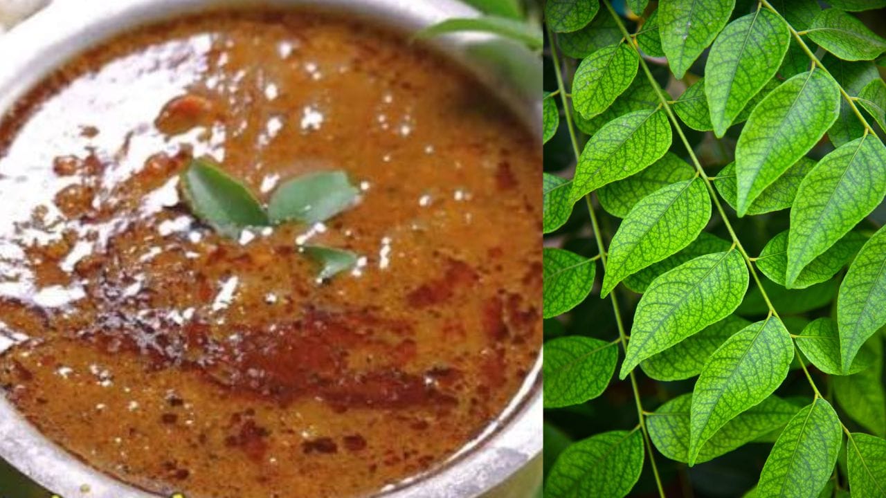 ഒരു പാനെടുത്ത് എണ്ണ ഒഴിച്ച് കടുക് പൊട്ടിച്ചതിനുശേഷം കടലപ്പരിപ്പും ജീരകവും ചേർത്ത് മൂപ്പിക്കുക. അതിലേക്ക് രണ്ട് ഉണക്കമുളകും പൊട്ടിച്ചിടുക. ശേഷം അതിലേക്ക് വീണ്ടും ചെറിയ ഉള്ളി, വെളുത്തുള്ളി എന്നിവ ചേർത്ത് വഴറ്റിയെടുക്കുക. ശേഷം അതിലേക്ക് മുളകുപൊടി, മഞ്ഞൾപ്പൊടി, മല്ലിപ്പൊടി എന്നിവ ചേർക്കുക. ഇവയെല്ലാം നന്നായി ഒന്ന് മൂത്ത് വന്നശേഷം മാറ്റി വെച്ചിരിക്കുന്ന കറിവേപ്പിലയുടെ മിശ്രിതം നന്നായി അരച്ചിട്ട് അത് ഇതിലേക്ക് ചേർക്കുക.