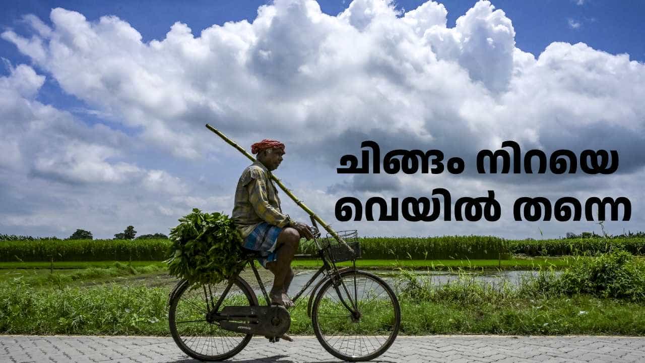 Kerala Weather Today: ചിങ്ങം നിറയെ വെയിൽ തന്നെ; പുതിയ മഴ മുന്നറിയിപ്പ് പുറത്തിറക്കി IMD Kerala Weather Today: ചിങ്ങം നിറയെ വെയിൽ തന്നെ; പുതിയ മഴ മുന്നറിയിപ്പ് പുറത്തിറക്കി IMD