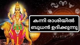 ജോലി തേടുന്നവർക്ക് മികച്ച സമയം, കുടുംബത്തിലെ പ്രശ്നങ്ങൾ മാറും!