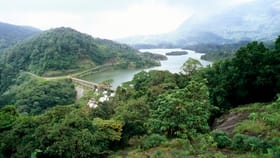 മുല്ലപ്പെരിയാർ സുരക്ഷിതമാണോ? വിദഗ്ധ സമിതി അണക്കെട്ടിലേക്ക്!