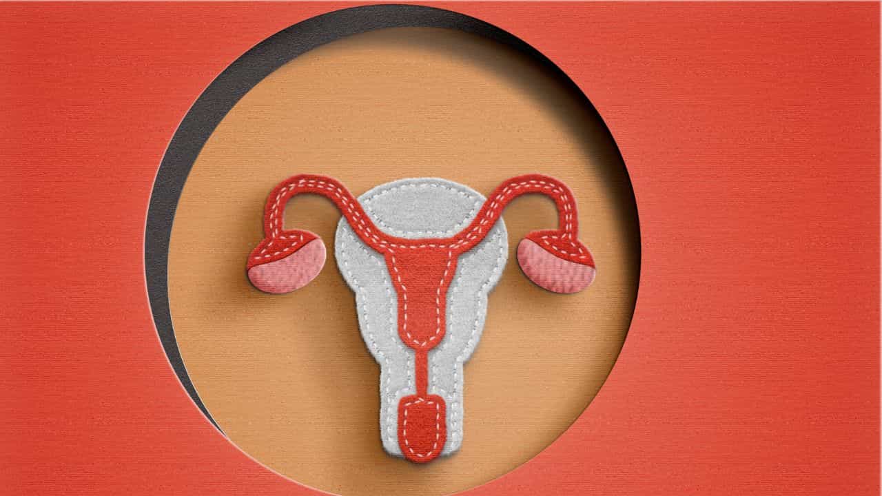 PMOS In Women: സ്ത്രീകളുടെ പേടിസ്വപ്നം! എന്താണ് PMOS?; അറിയാതെ പോകരുത് ഈ മാറ്റങ്ങൾ PMOS In Women: സ്ത്രീകളുടെ പേടിസ്വപ്നം! എന്താണ് PMOS?; അറിയാതെ പോകരുത് ഈ മാറ്റങ്ങൾ