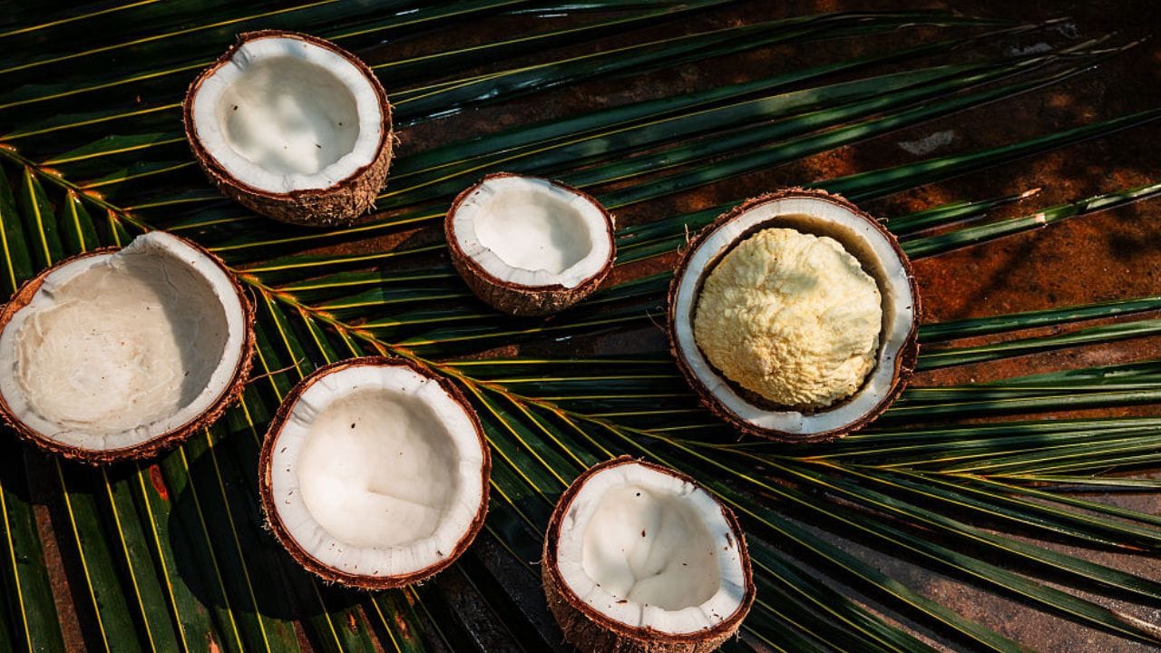 പൊങ്ങ് കറി ഉണ്ടാക്കുന്നതിനായി ആദ്യം, പൊങ്ങ് ചെറിയ കഷ്ണങ്ങളാക്കാം. പാനിൽ വെളിച്ചെണ്ണയോ മറ്റ് ഭക്ഷ്യയെണ്ണയോ കുറച്ച് ഒഴിക്കാം. ചൂടായി വരുമ്പോൾ കഷ്ണങ്ങളാക്കിയ പൊങ്ങ് ചേർത്ത് കൊടുക്കാം. കുറച്ച് ഉപ്പ് ചേർത്ത് നന്നായി വഴറ്റി എടുക്കാം. പൊങ്ങ് നല്ലവണ്ണം എണ്ണ വലിച്ചെടുക്കും.
നന്നായി വഴറ്റി, പൊങ്ങ് ചുരുങ്ങി വരുമ്പോൾ മറ്റൊരു പാത്രത്തിലേക്ക് മാറ്റിവയ്ക്കാം.