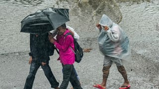 Kerala Rain Alert: മടക്കിവെച്ച കുട വീണ്ടുമെടുക്കേണ്ടി വരും! മഴ വരുന്നു; വിവിധ ജില്ലകളില്‍ മുന്നറിയിപ്പ്‌