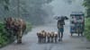 മഴ മുന്നറിയിപ്പില്‍ മാറ്റം! വടക്കന്‍ കേരളത്തില്‍ പേമാരി ശക്തമാകും...