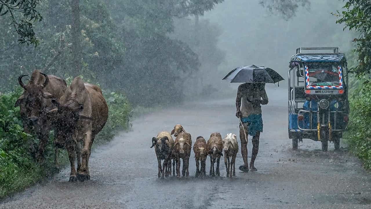 Kerala Rain Alert: മഴ മുന്നറിയിപ്പില്‍ മാറ്റം! വടക്കന്‍ കേരളത്തില്‍ പേമാരി ശക്തമാകും; യെല്ലോ അലര്‍ട്ട് അഞ്ച് ജില്ലകളില്‍