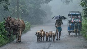 Kerala Rain Alert: മഴ മുന്നറിയിപ്പില്‍ മാറ്റം! വടക്കന്‍ കേരളത്തില്‍ പേമാരി ശക്തമാകും; യെല്ലോ അലര്‍ട്ട് അഞ്ച് ജില്ലകളില്‍...