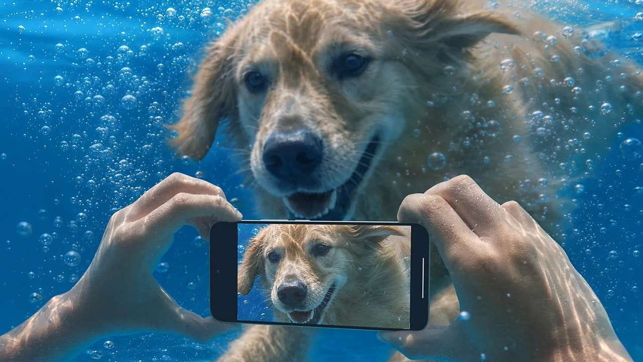 വിലയും ലഭ്യതയും: റെഡ്മി നോട്ട് 17 പ്രോയുടെ 8GB+128GB വേരിയന്റിന് 36,999 രൂപയും, 8GB+256GB വേരിയന്റിന് 39,999 രൂപയുമാണ് വില. ലോഞ്ച് ഓഫറിന്റെ ഭാഗമായി 3000 രൂപ ബാങ്ക് ഡിസ്കൗണ്ട്, പരിമിത കാലത്തേക്ക് 7499 രൂപ മൂല്യമുള്ള നോട്ട് 1 കെയർ പ്ലാൻ സൗജന്യം (ഇതിൽ 2 വർഷത്തെ സ്‌ക്രീൻ പ്രൊട്ടക്ഷൻ, 2 വർഷത്തെ ബാറ്ററി റീപ്ലേസ്‌മെന്റ്, 2 വർഷത്തെ വാറന്റി) എന്നിവ ലഭിക്കും. സെപ്റ്റംബർ 17 മുതൽ ഷവോമിയുടെ ഇന്ത്യയിലെ ഔദ്യോഗിക ​വെബ്​സൈറ്റ്, ആമസോൺ,  ഓഫ്‌ലൈൻ സ്റ്റോറുകൾ എന്നിവ വഴി ഇത് വിൽപ്പനയ്ക്ക് എത്തും. 