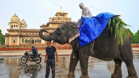 എന്തുകൊണ്ടാണ് ഇന്ത്യൻ സംസ്ഥാനങ്ങൾ വ്യത്യസ്തതമാകുന്നത്