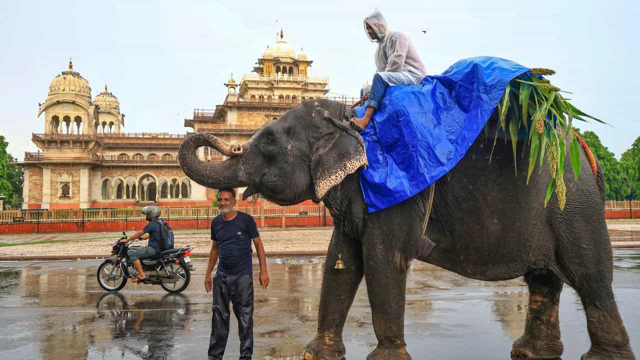 എന്തുകൊണ്ടാണ് ഇന്ത്യൻ സംസ്ഥാനങ്ങൾ വ്യത്യസ്തതമാകുന്നത് എന്തുകൊണ്ടാണ് ഇന്ത്യൻ സംസ്ഥാനങ്ങൾ വ്യത്യസ്തതമാകുന്നത്