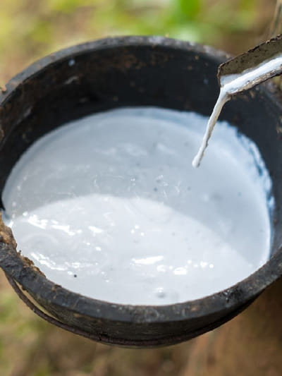 തളരരുത് രാമൻ കുട്ടീ തളരരുത്! റബർ വില ഇടിഞ്ഞു