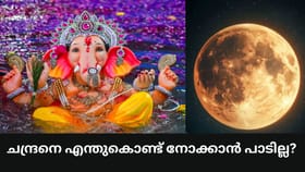 അഭിമാനക്ഷതം സംഭവിക്കും! വിനായക ചതുർത്ഥിയിൽ ‌ചന്ദ്രനെ എന്തുകൊണ്ട്