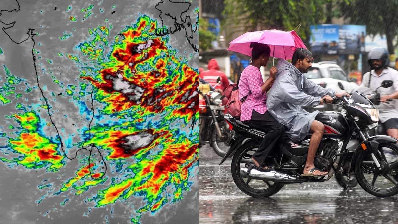 Kerala Weather Update: മഴ തോരില്ല! സംസ്ഥാനത്ത് ശക്തമായ മഴയ്ക്ക് സാധ്യത; ഈ ജില്ലകാർ കരുതുക Kerala Weather Update: മഴ തോരില്ല! സംസ്ഥാനത്ത് ശക്തമായ മഴയ്ക്ക് സാധ്യത; ഈ ജില്ലകാർ കരുതുക