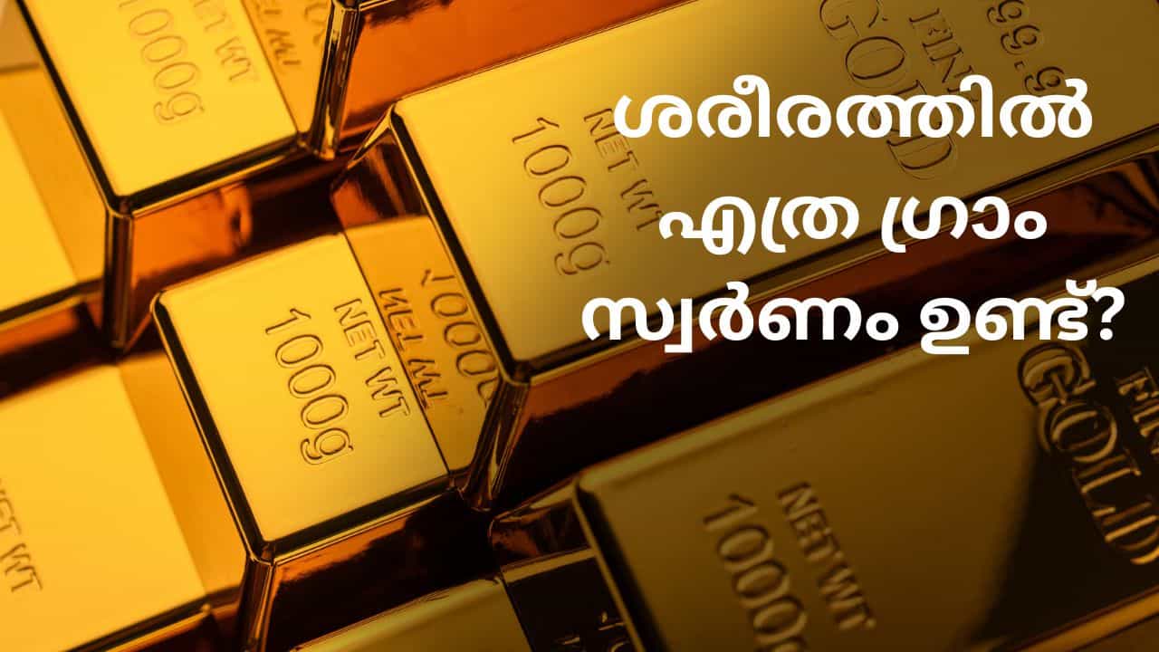 Gold: മനുഷ്യശരീരത്തിൽ എത്ര ഗ്രാം സ്വർണം ഉണ്ട്? ആ രഹസ്യം ഇതാ...