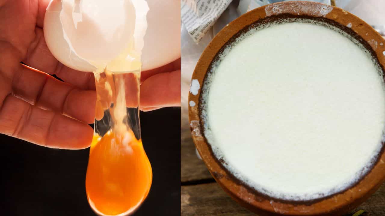 Hair Growth: തൈരോ അതോ മുട്ടയോ, മുടി തഴച്ചുവളരാൻ ഇതിൽ ഏതാണ് ബെസ്റ്റ്? Hair Growth: തൈരോ അതോ മുട്ടയോ, മുടി തഴച്ചുവളരാൻ ഇതിൽ ഏതാണ് ബെസ്റ്റ്?