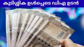 സർക്കാർ ജീവനക്കാർക്ക് ഡിഎ ഉടൻ, കിട്ടുക കുടിശ്ശിക ഉൾപ്പെടെ