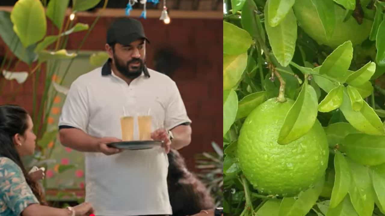 Sathukkudi Juice: സാത്തുക്കുടി ജ്യൂസ് കുടിച്ചിട്ടുണ്ടോ? ആരോഗ്യഗുണങ്ങളിൽ മുന്നിൽ