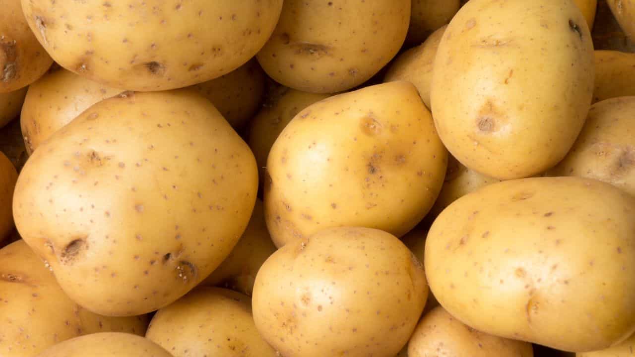 Potato: ഉരുളക്കിഴങ്ങ് ഫ്രിഡ്ജിൽ വെക്കാറുണ്ടോ? വൻ അപകടം Potato: ഉരുളക്കിഴങ്ങ് ഫ്രിഡ്ജിൽ വെക്കാറുണ്ടോ? വൻ അപകടം