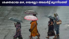 പൊള്ളും ചൂടല്ല, ഇന്ന് ശക്തമായ മഴ, യെല്ലോ അലർട്ട് മൂന്നിടത്ത്