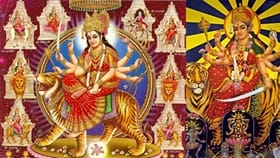ശൈലപുത്രി മുതൽ സിദ്ധിദാത്രി വരെ; ദുർ​​​ഗ്​ഗാ ദേവിയുടെ 9 ഭാവങ്ങൾ