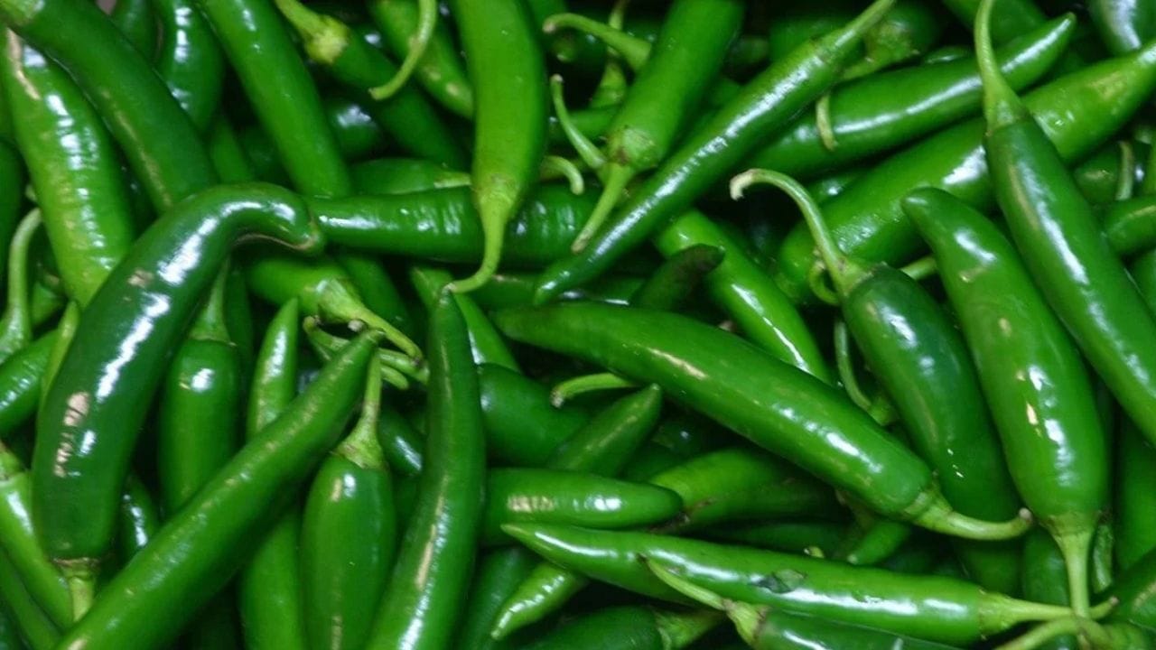 Best Way To Keep Green Chillies